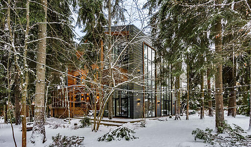 Дом в окружении реликтовых сосен.