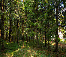 Усадьба в поселке Аксаково