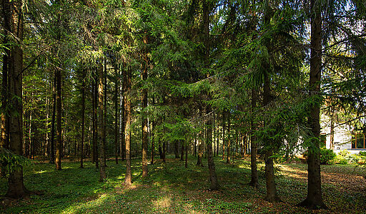 Усадьба в поселке Аксаково