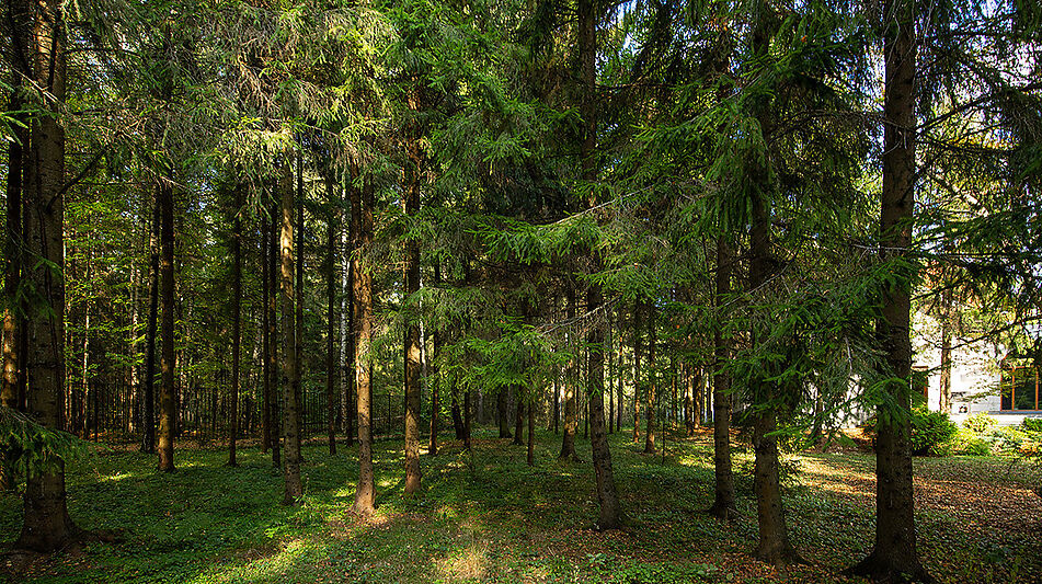 Усадьба в поселке Аксаково