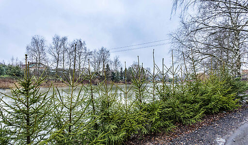 Покровское