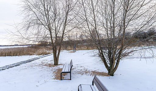 Рузские дачи