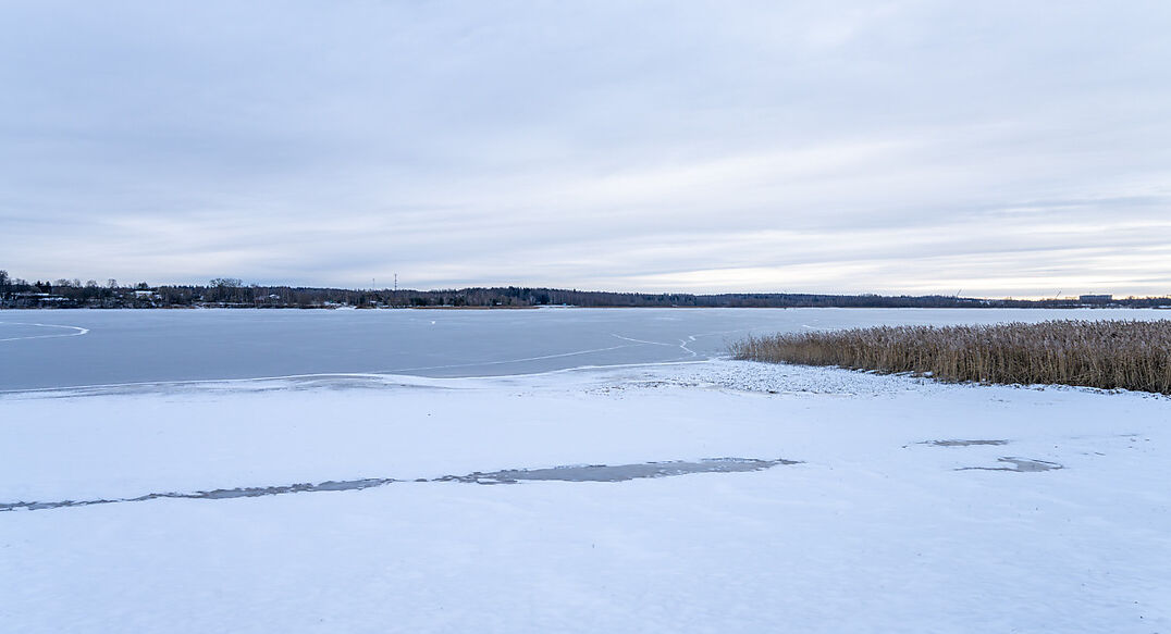 Рузские дачи