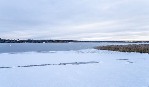 Рузские дачи