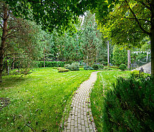 Дом на лесном участке в Николино