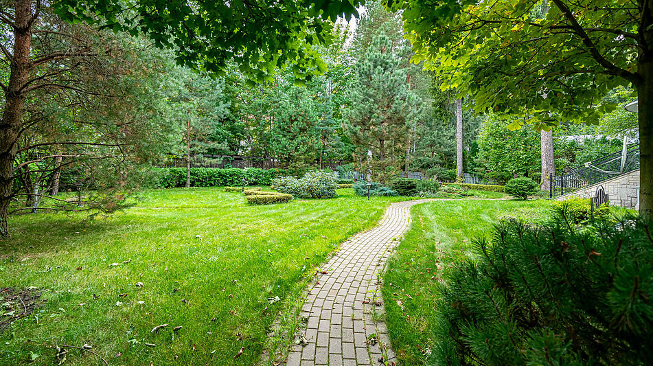 Дом на лесном участке в Николино