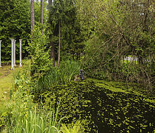 Классический особняк в Николино