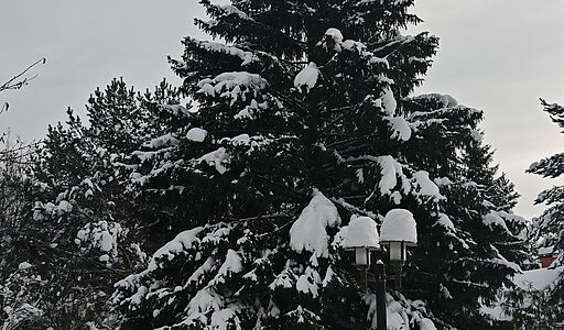 Дом с бассейном в КП Лазурь