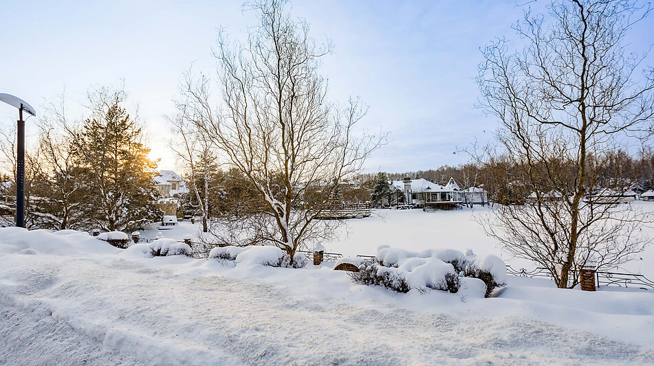 Участок в кп Княжье Озеро