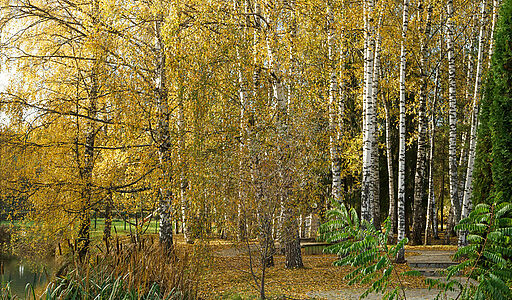 Участок в кп Княжье Озеро