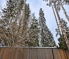 Дом в сосновом лесу в Липка ССПК