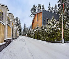 Дом в сосновом лесу в Липка ССПК