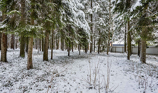 Лесной участок в КП Вымпел
