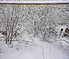 Лесной участок в КП Вымпел