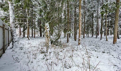 Лесной участок в КП Вымпел