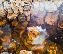 Уникальный дом в КП Новорижский