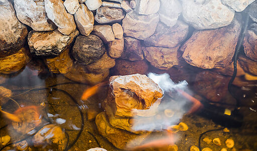 Уникальный дом в КП Новорижский