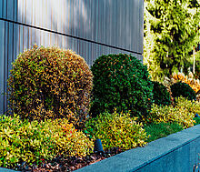 Резиденция в КП Шервуд