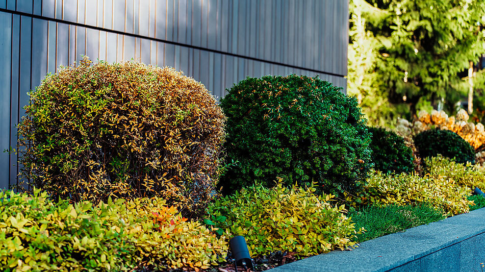 Резиденция в КП Шервуд