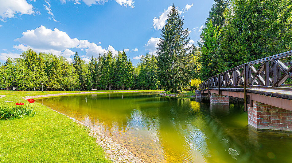 Дом в КП Чигасово-1