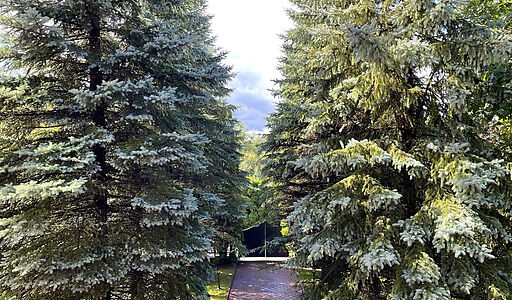 Дом в КП Чигасово-1