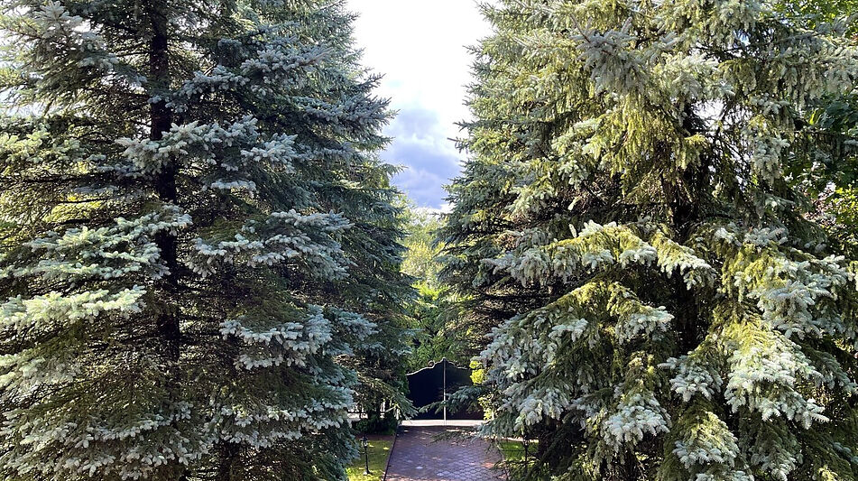 Дом в КП Чигасово-1