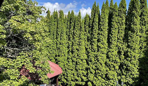 Дом в КП Чигасово-1