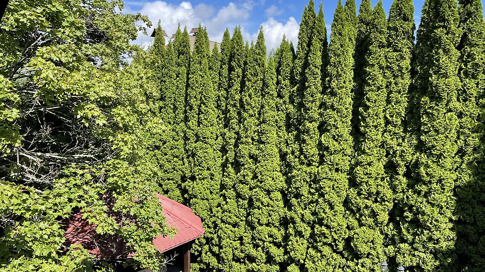 Дом в КП Чигасово-1