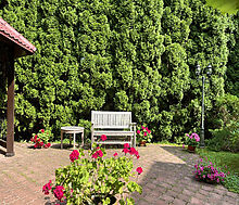 Дом в КП Чигасово-1