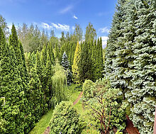 Дом в КП Чигасово-1