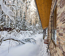 Лесной участок в Новодарьино РАН