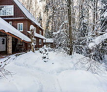 Лесной участок в Новодарьино РАН