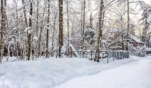 Лесной участок в Новодарьино РАН