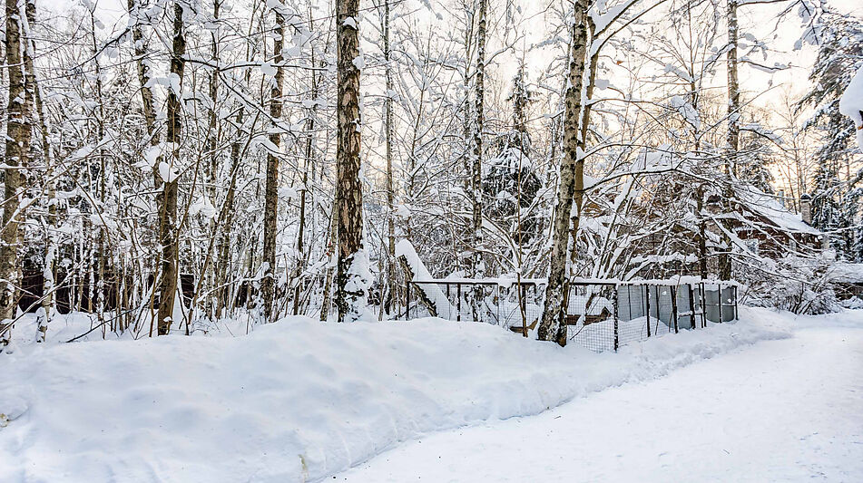 Лесной участок в Новодарьино РАН