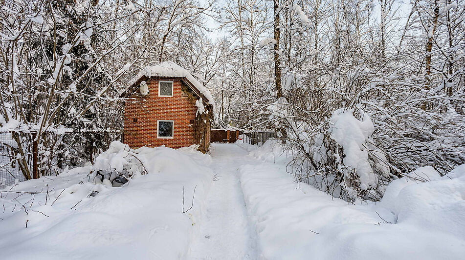 Лесной участок в Новодарьино РАН