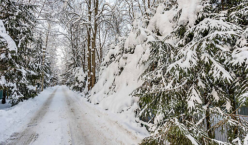 Лесной участок в Новодарьино РАН