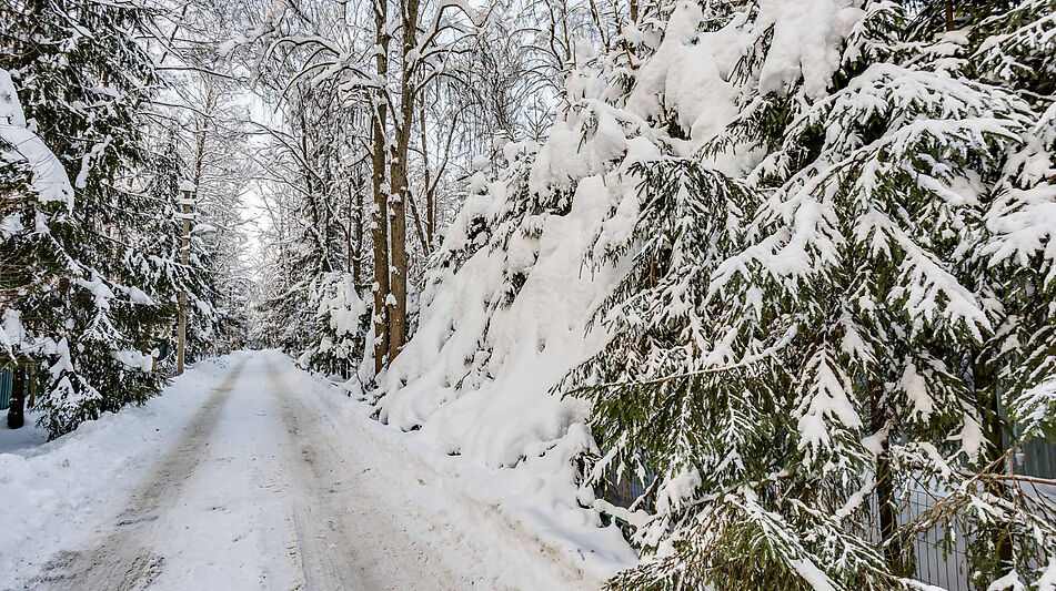 Лесной участок в Новодарьино РАН