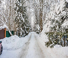 Лесной участок в Новодарьино РАН
