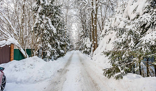 Лесной участок в Новодарьино РАН