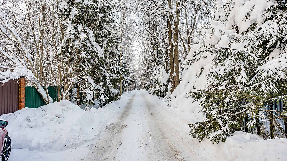 Лесной участок в Новодарьино РАН