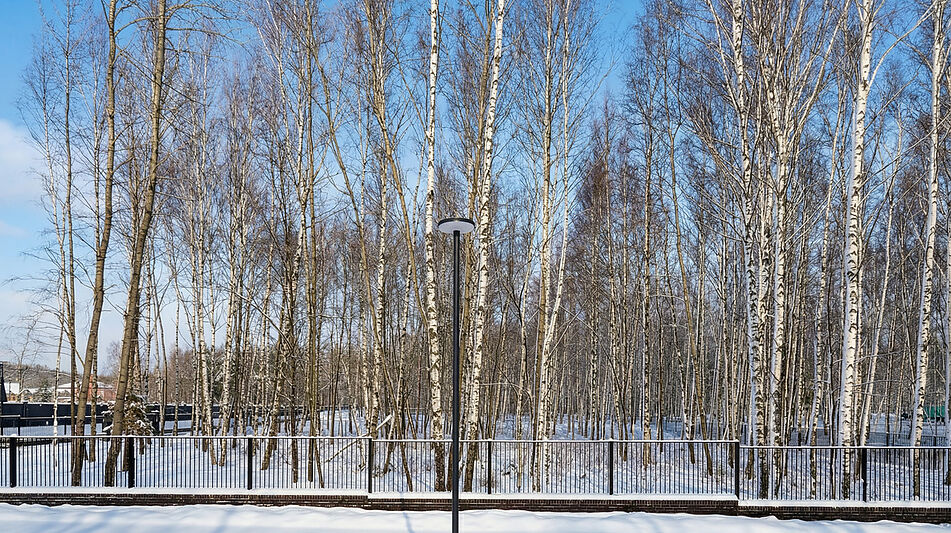 Участок в КП Кристал Форест