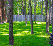 Одноэтажный дом в Новодарьино РАН