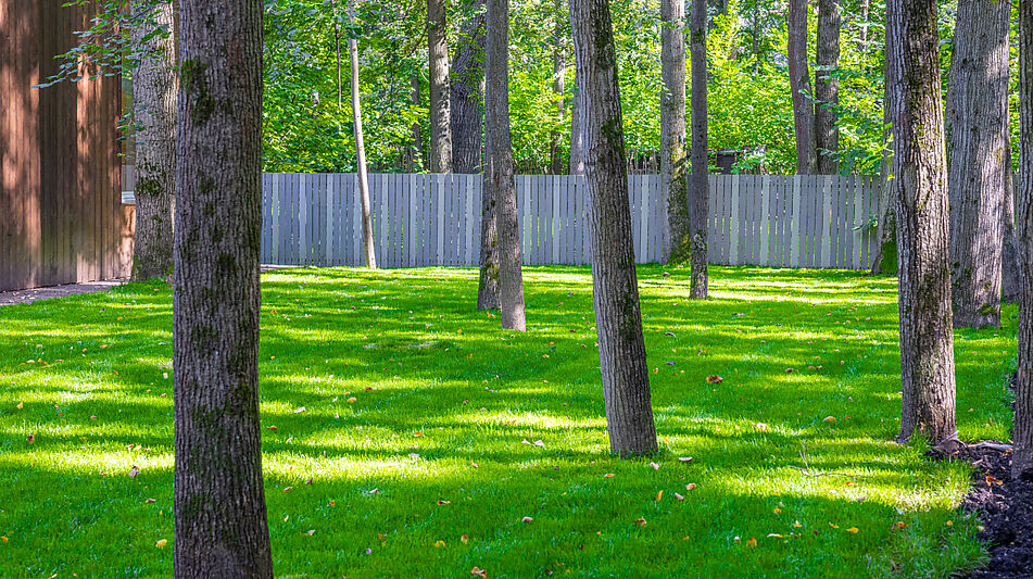 Одноэтажный дом в Новодарьино РАН