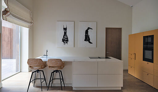 Одноэтажный дом в Новодарьино РАН