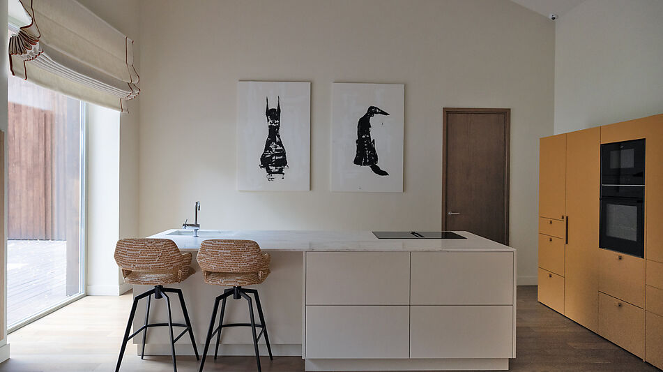 Одноэтажный дом в Новодарьино РАН