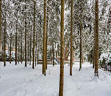 Земельный участок в КП Шервуд