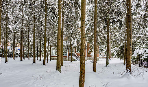 Земельный участок в КП Шервуд