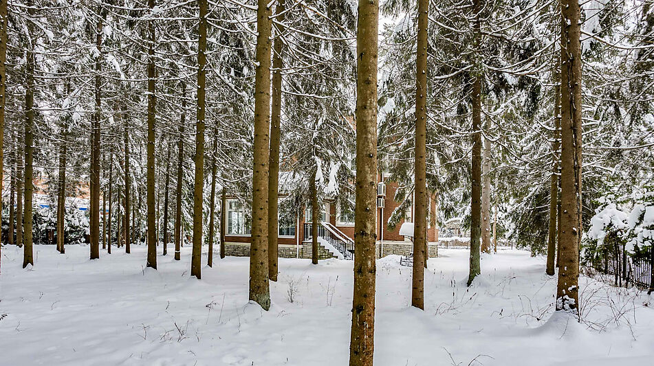 Земельный участок в КП Шервуд