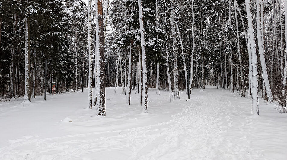 Дом под отделку в КП Николино