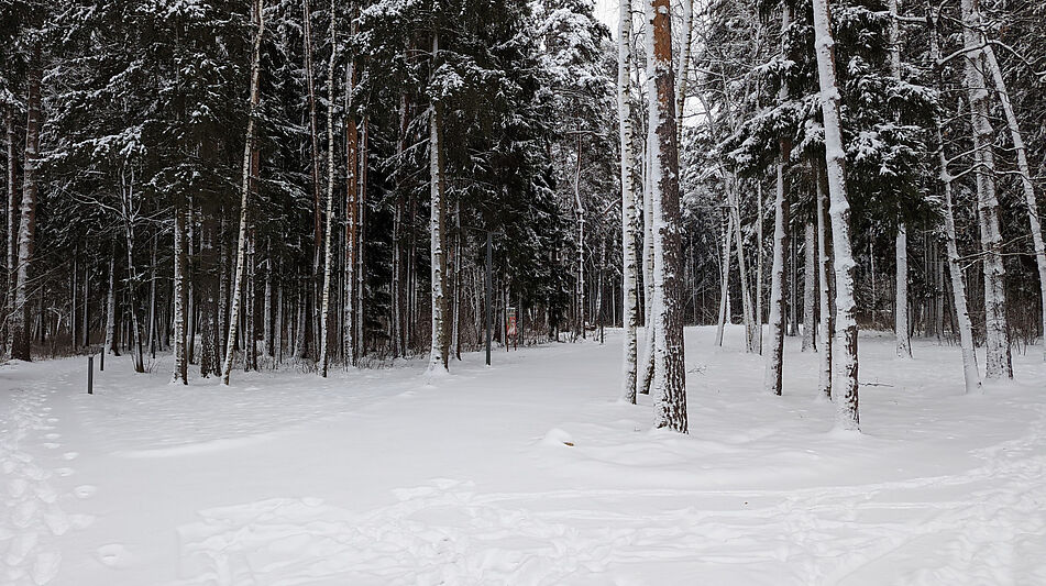 Дом под отделку в КП Николино